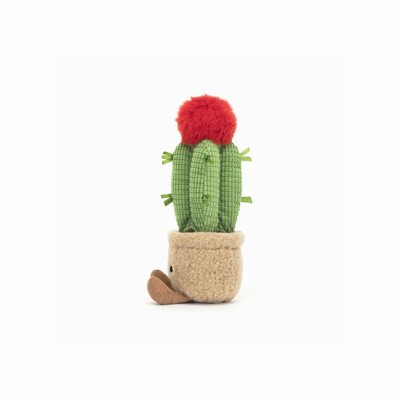 Jellycat Moon Cactus Australia | 680519HLN